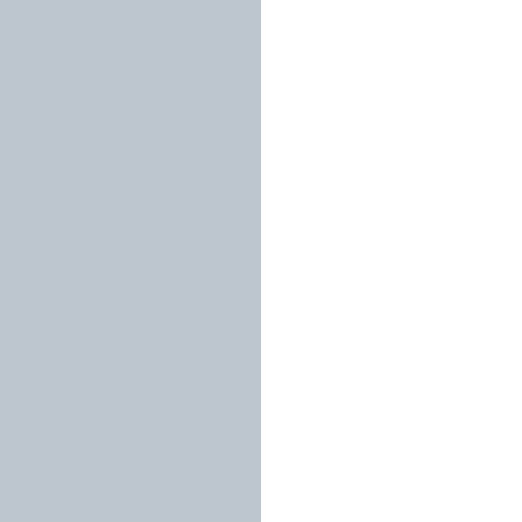 Silver Blue-White